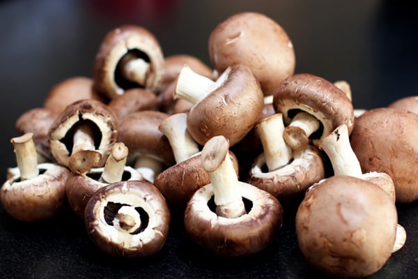 Pile of mushrooms for cooking