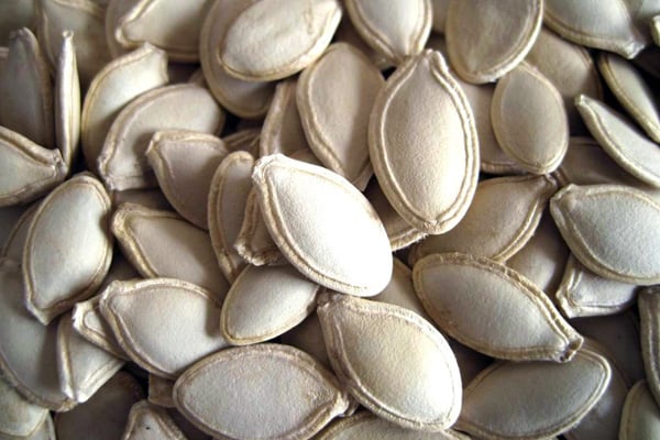 A large pile of pumpkin seeds