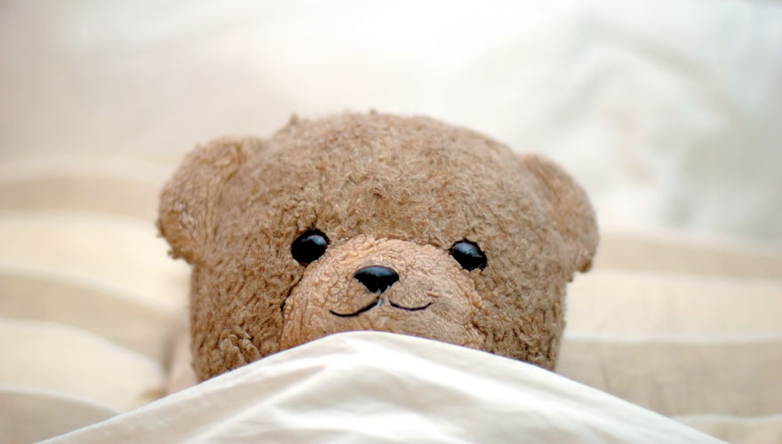 teddy bear sleeping bed
