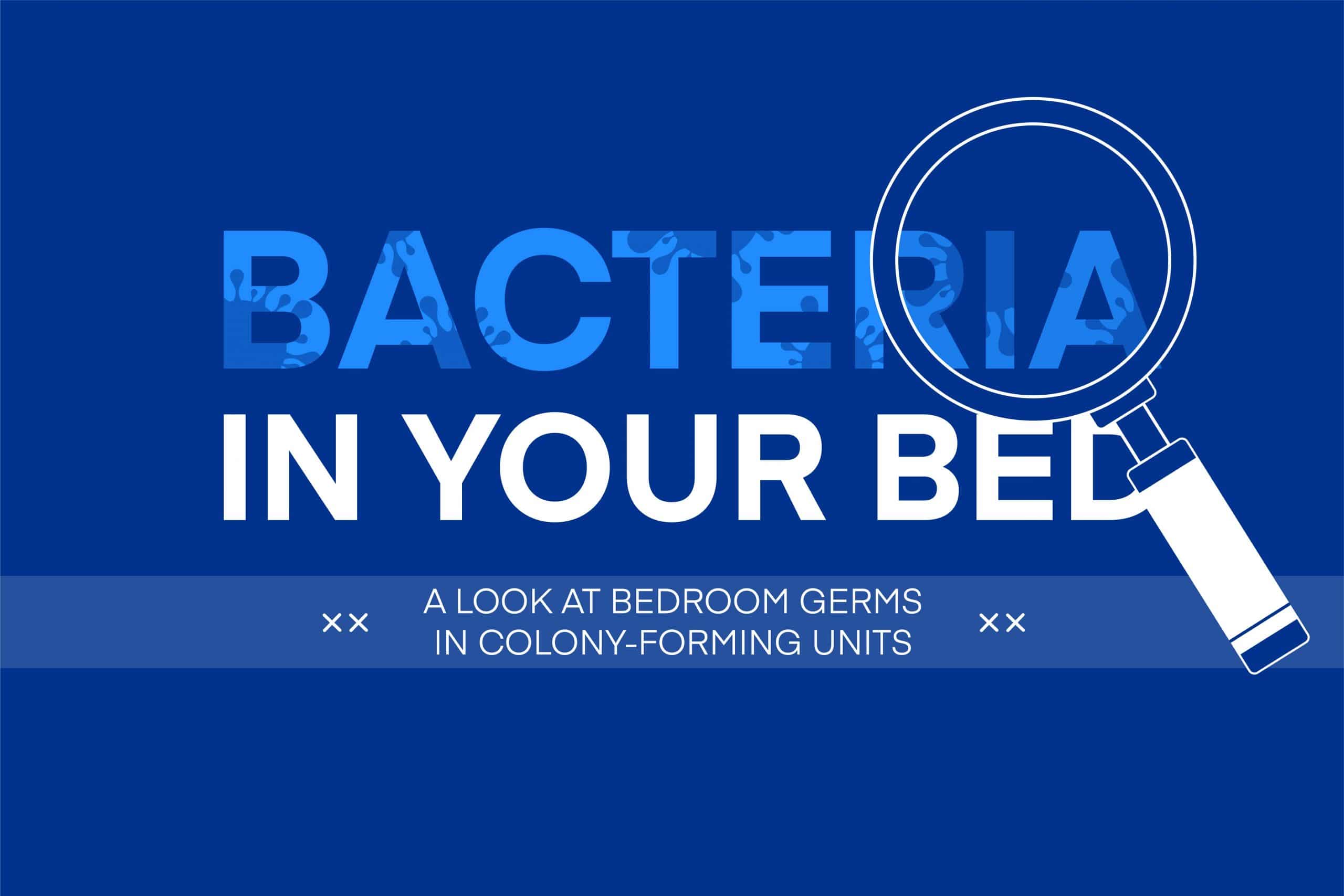 Bacteria in your Bed
