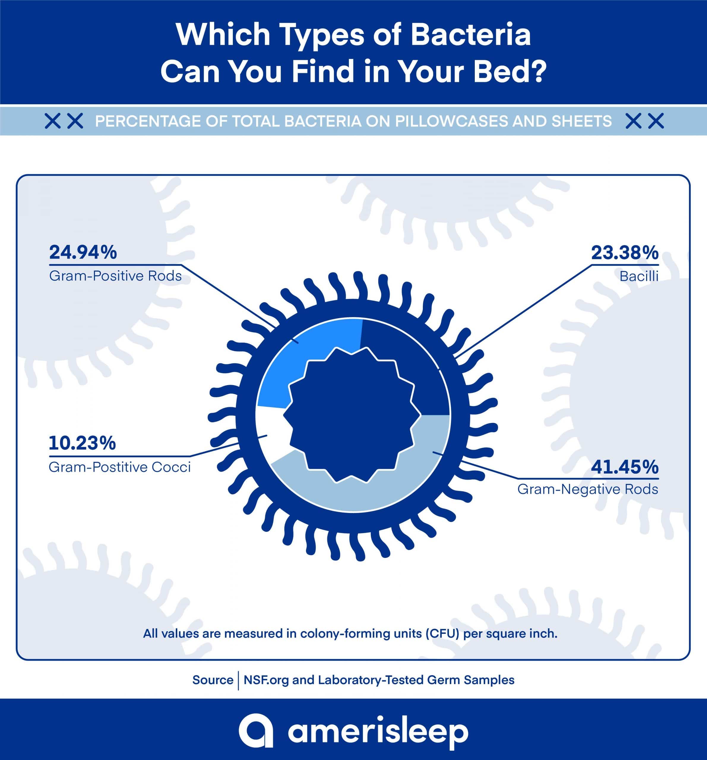 Bacteria in Your Bed