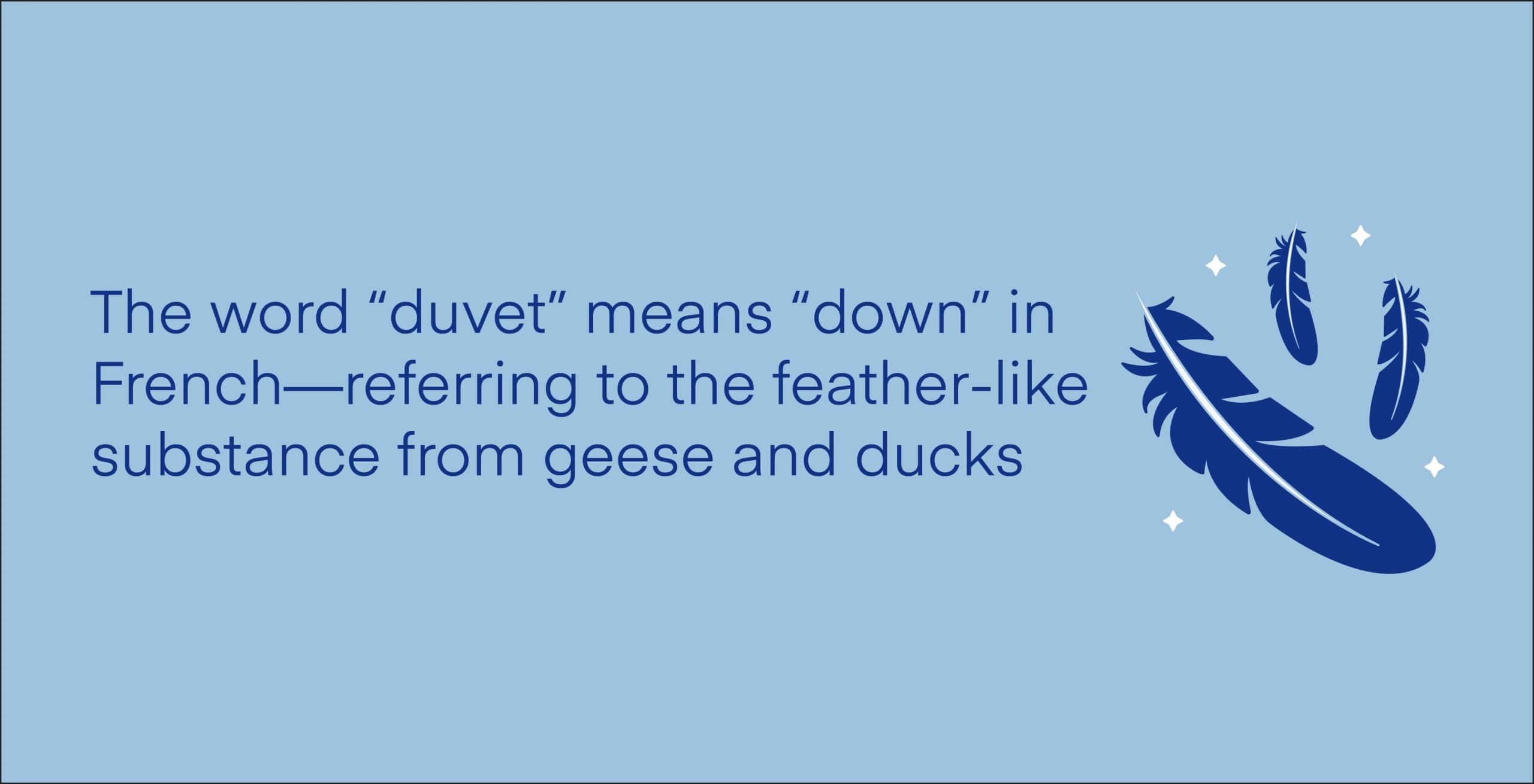 what is a duvet