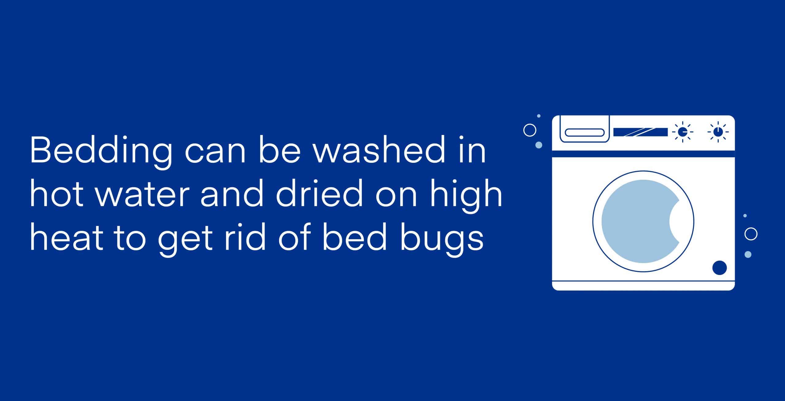 Getting Rid of Bed Bugs