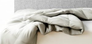 Amerisleep Comforter