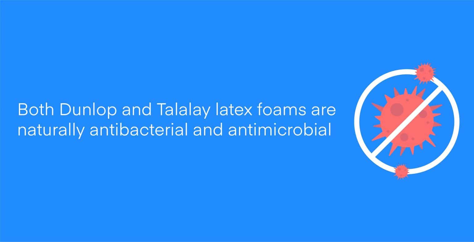 taley process to make latex mattresses