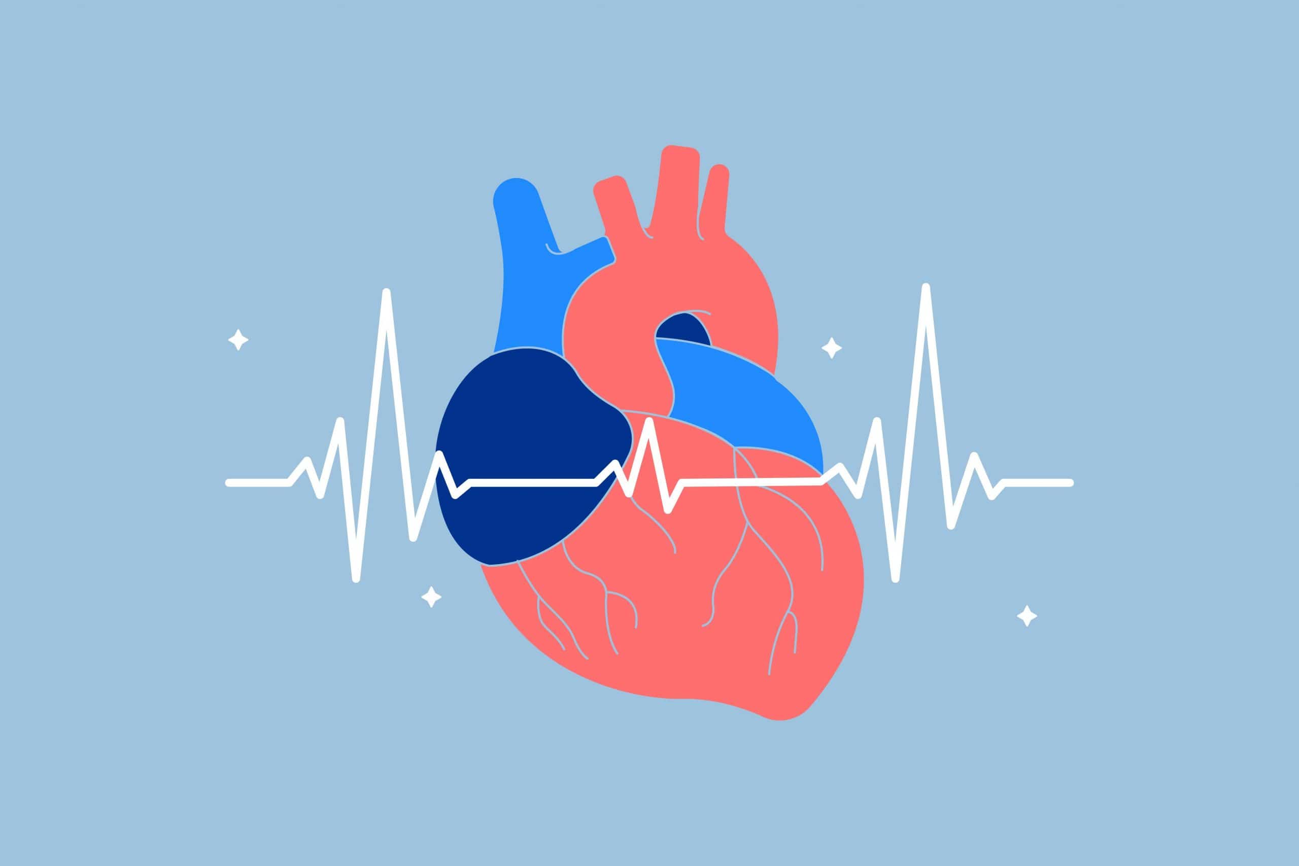 Difference Between Heart Rate and Pulse Rate are explained in detail