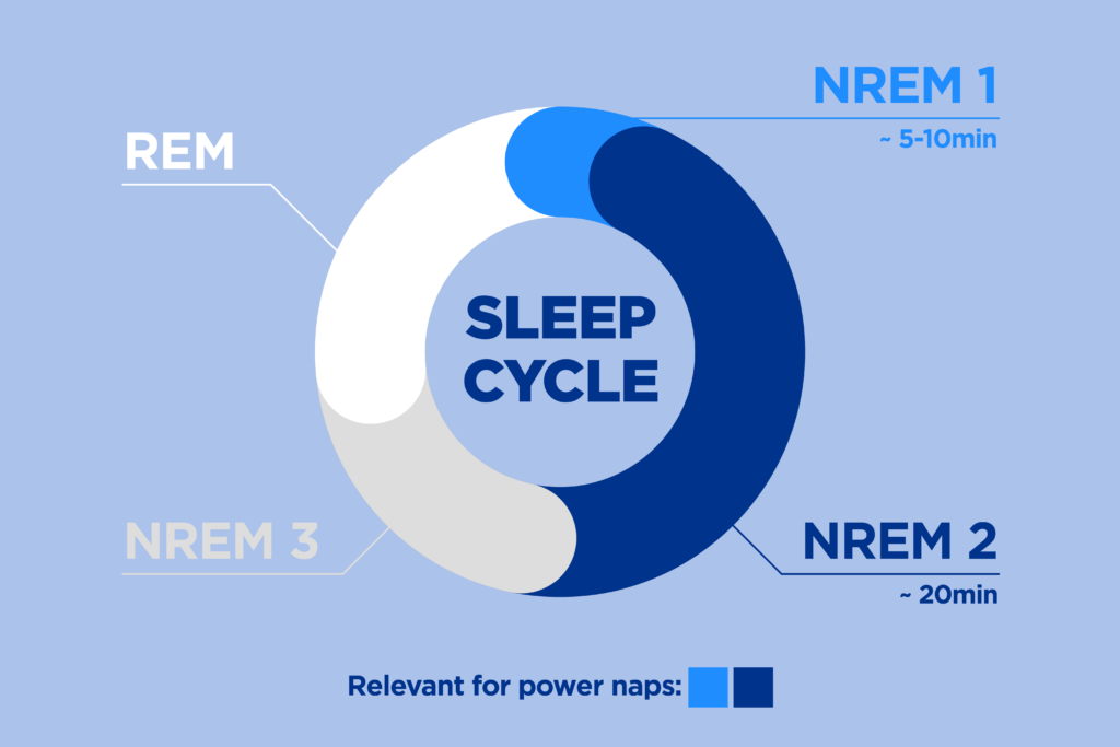 What Does REM Stand For? - Amerisleep