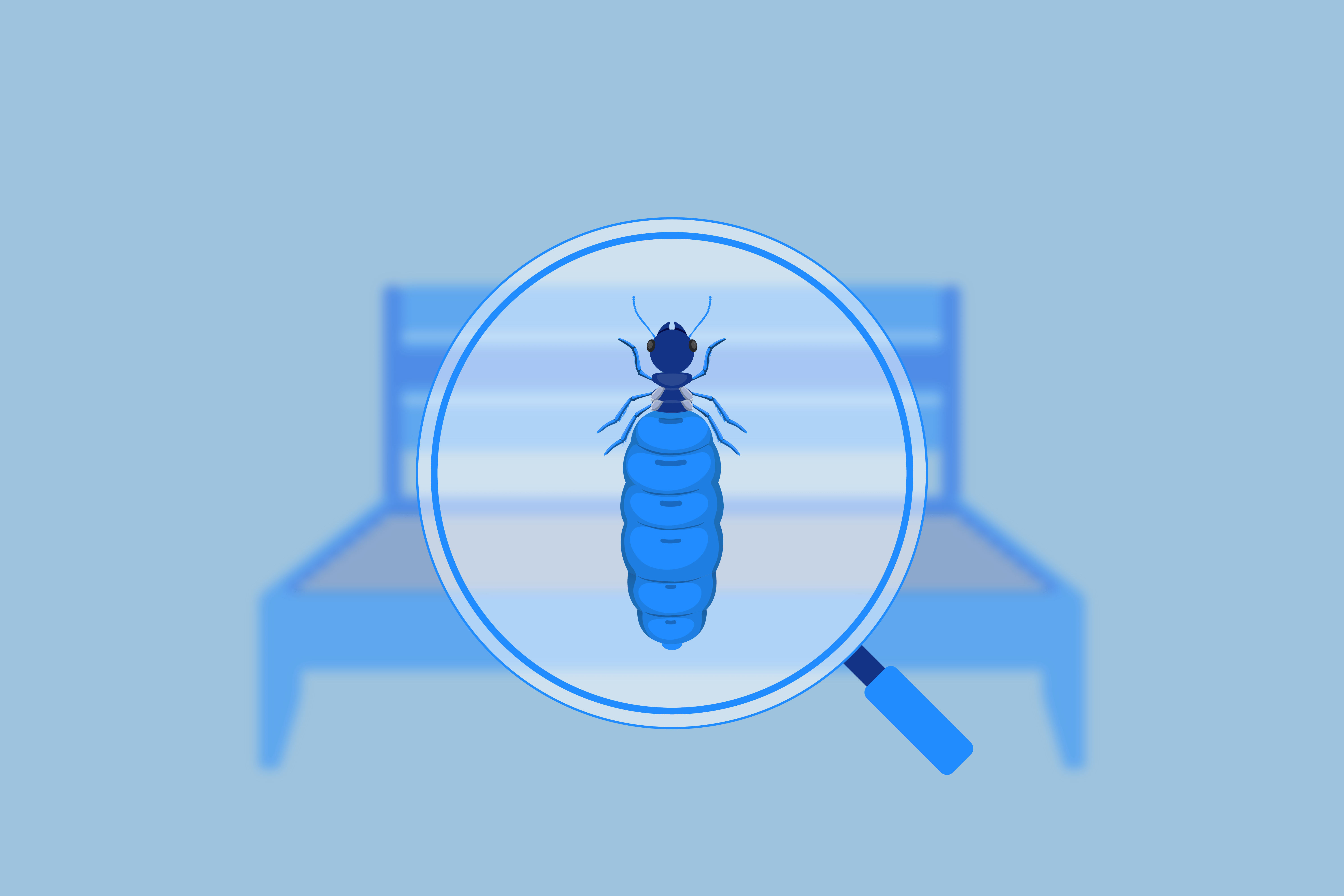 Can Termites Get in My Bed?