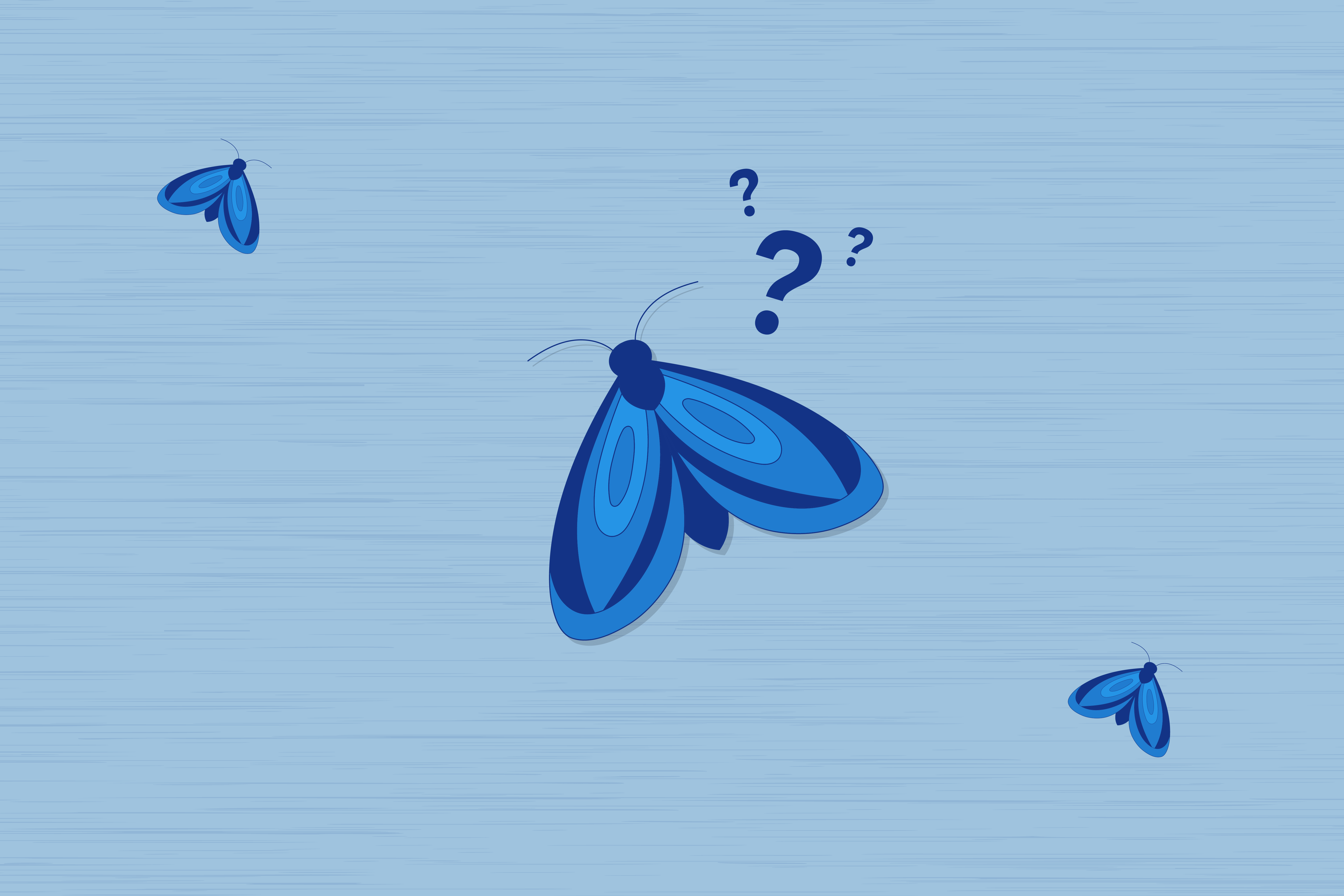 How to Get Rid of House Moths in Bedroom