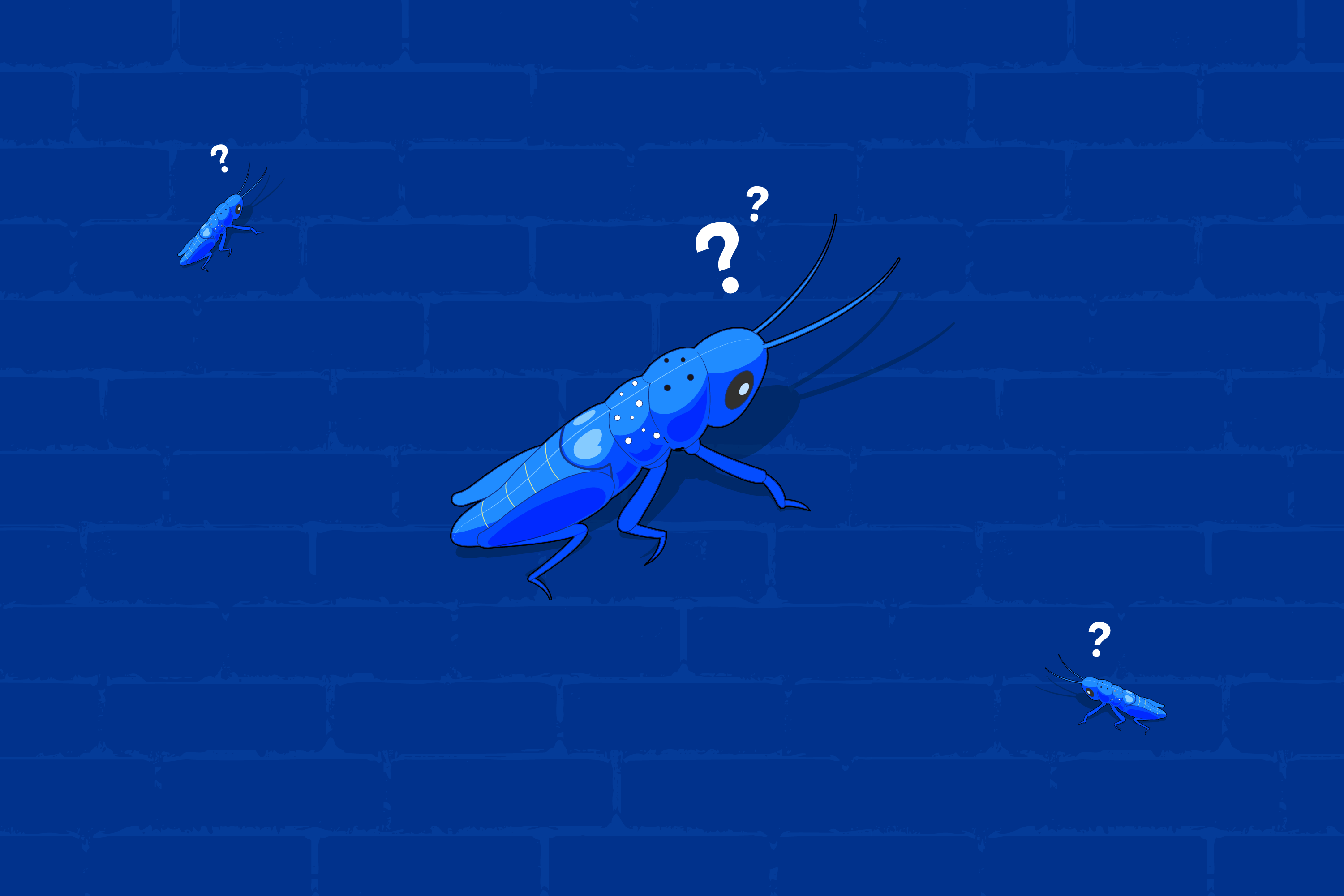What to Do with a Cricket in the Bedroom