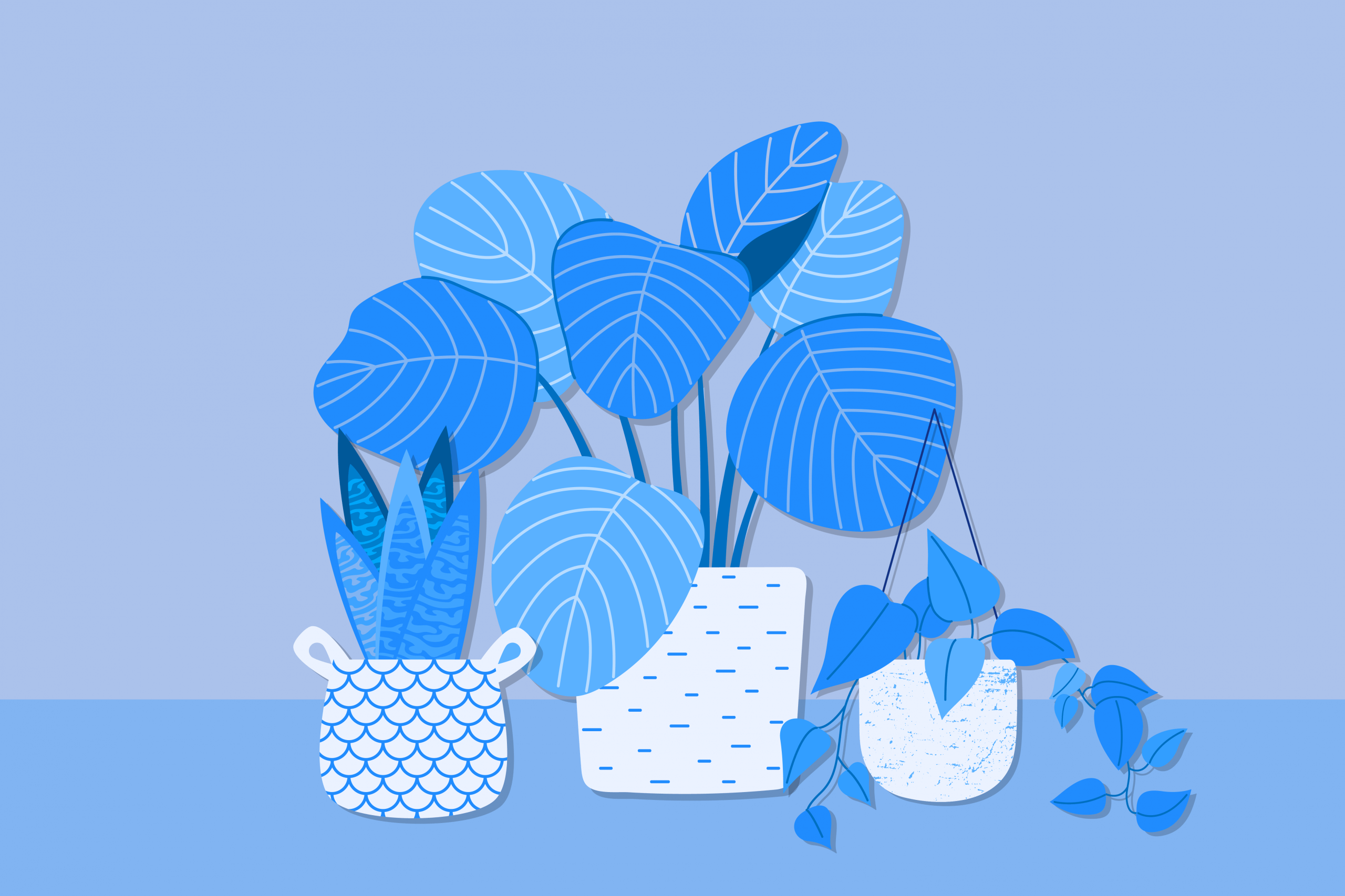 Benefits of Gardening for Sleep and Health